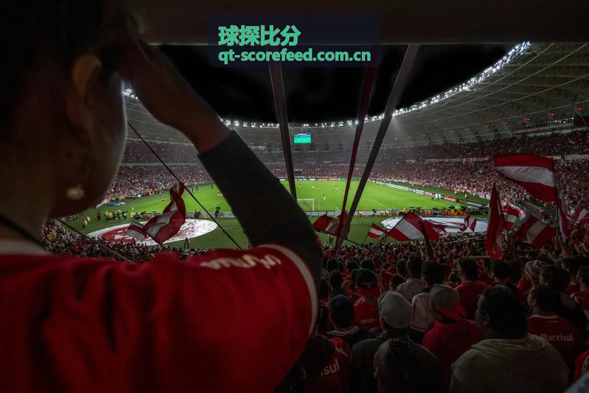 球探比分历史交锋数据对比